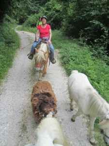 horse-riding-slovenia