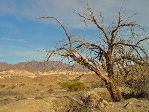 800px-Death_Valley_(2187130303)